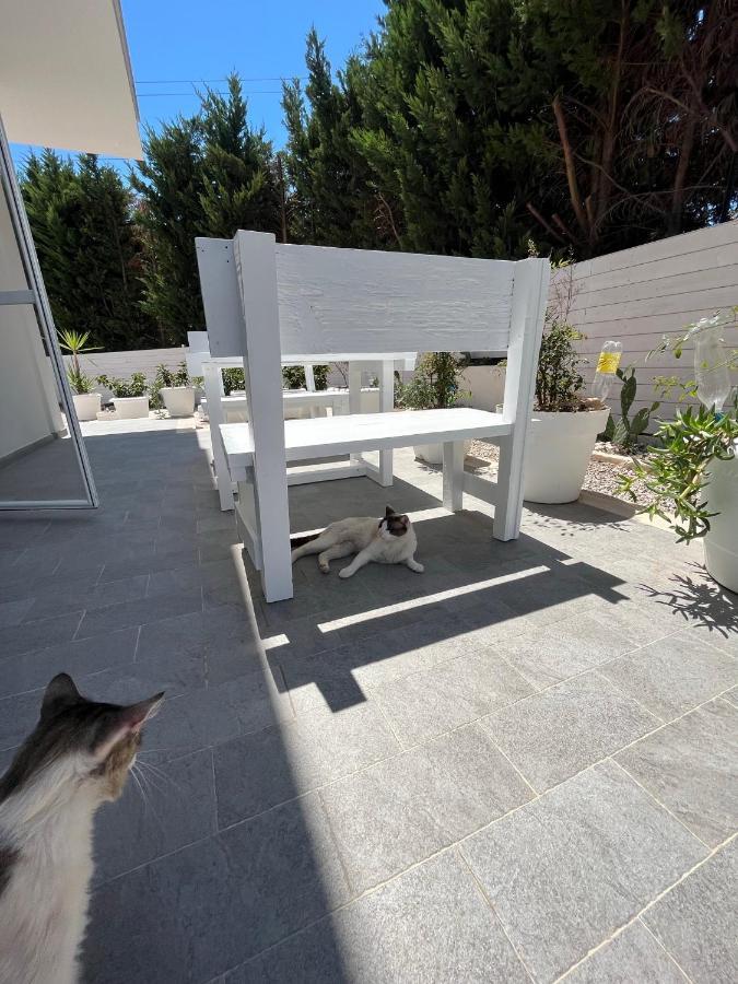 La Casa Di Nina Bed & Breakfast Lecce Bagian luar foto