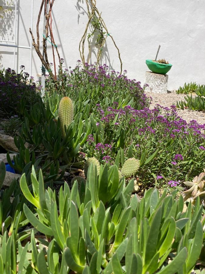 La Casa Di Nina Bed & Breakfast Lecce Bagian luar foto