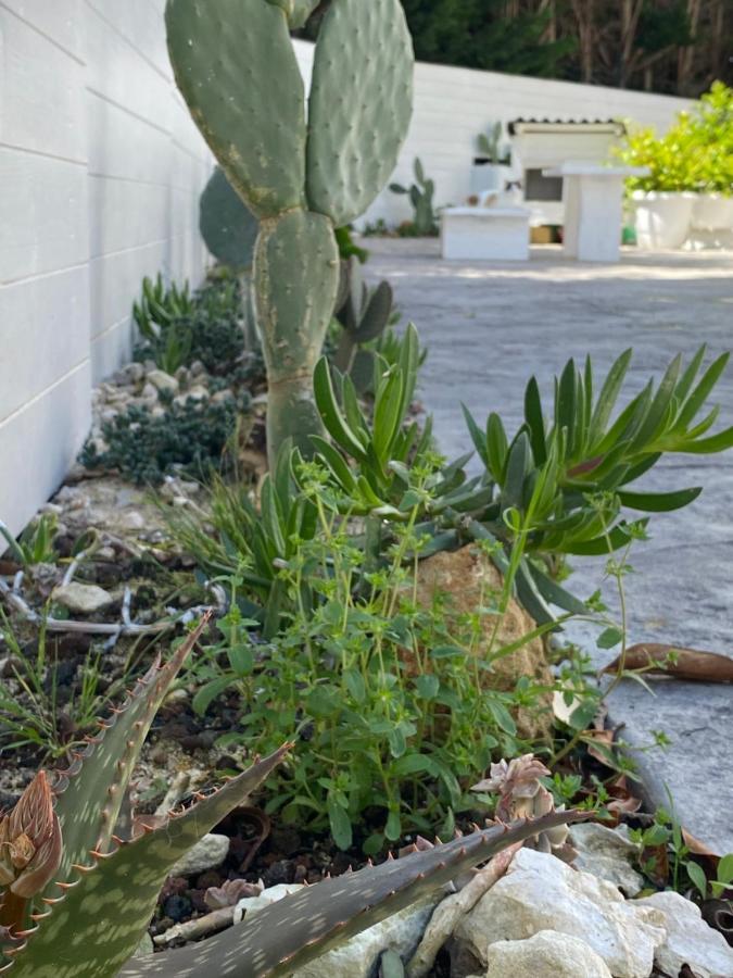 La Casa Di Nina Bed & Breakfast Lecce Bagian luar foto