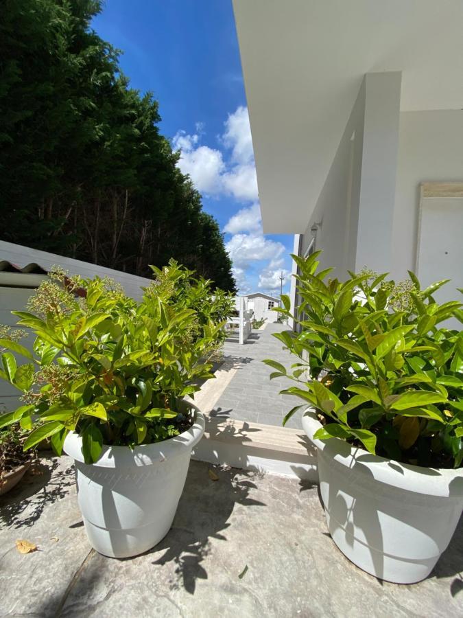 La Casa Di Nina Bed & Breakfast Lecce Bagian luar foto